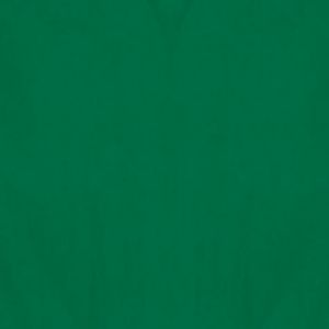 Green Tissue Paper 8ct - Party City