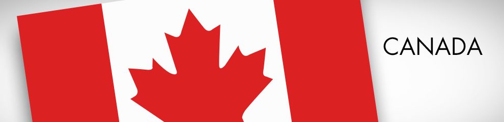 Waving Canadian Flag Party Supplies - Party City